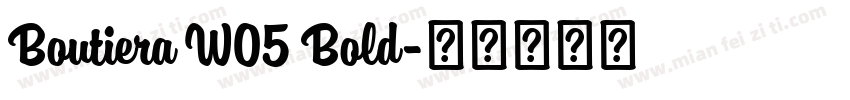 Boutiera W05 Bold字体转换